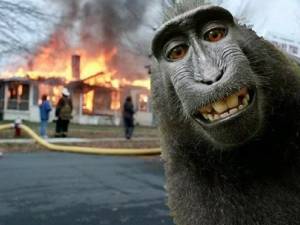 Click to view larger image The Chaos Monkeys Have Already Taken Over the Zoo (Graphic by Paul Krugman)